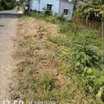 Bán nền đất 540m² An Biên Cần Giờ 950 triệu - Ảnh thu nhỏ 4