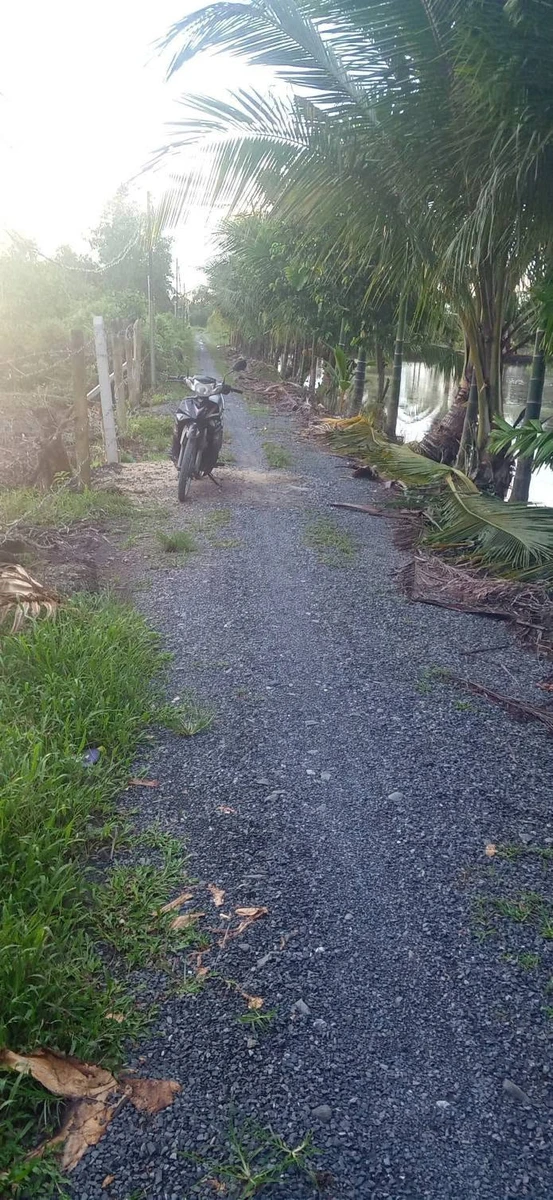 Bán nền đất 284m2 giá 1 tỷ 100 triệu tại Đức Hoà, Tây Ninh - Ảnh thu nhỏ 5