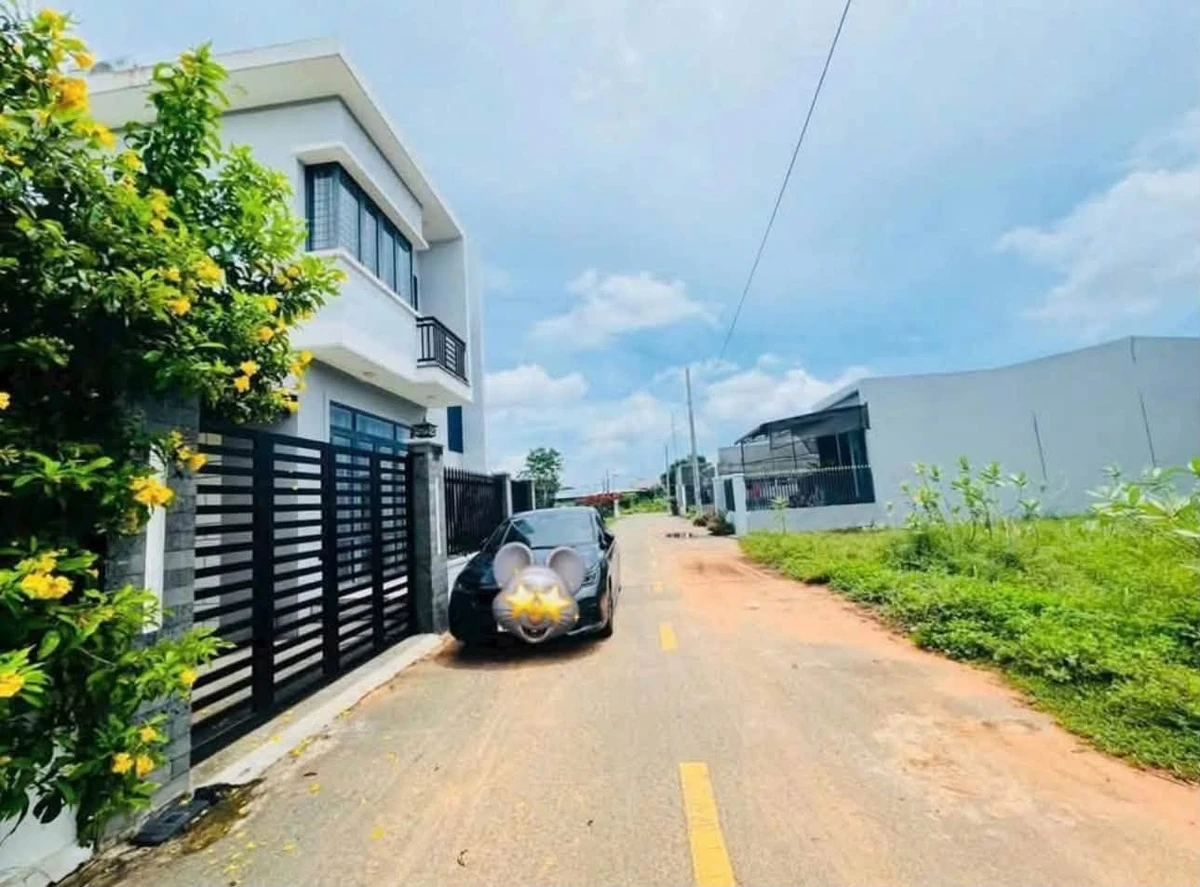 Bán nhà 2 mặt tiền 110m2 đường Phong Nẫm Bình Chánh - Ảnh thu nhỏ 2