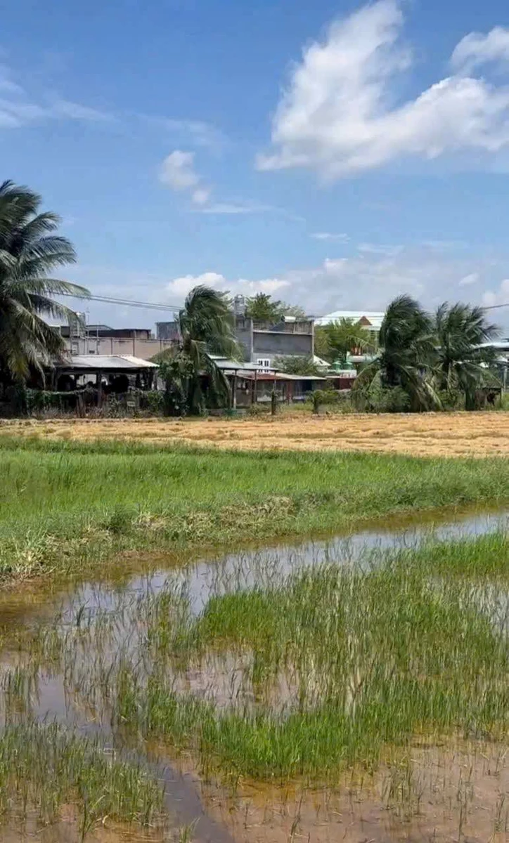 Bán đất 500m² xã Hồng Sơn, Lâm Đồng - Ảnh thu nhỏ 3