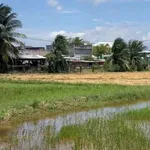 Bán đất 500m² xã Hồng Sơn, Lâm Đồng - Ảnh thu nhỏ 3
