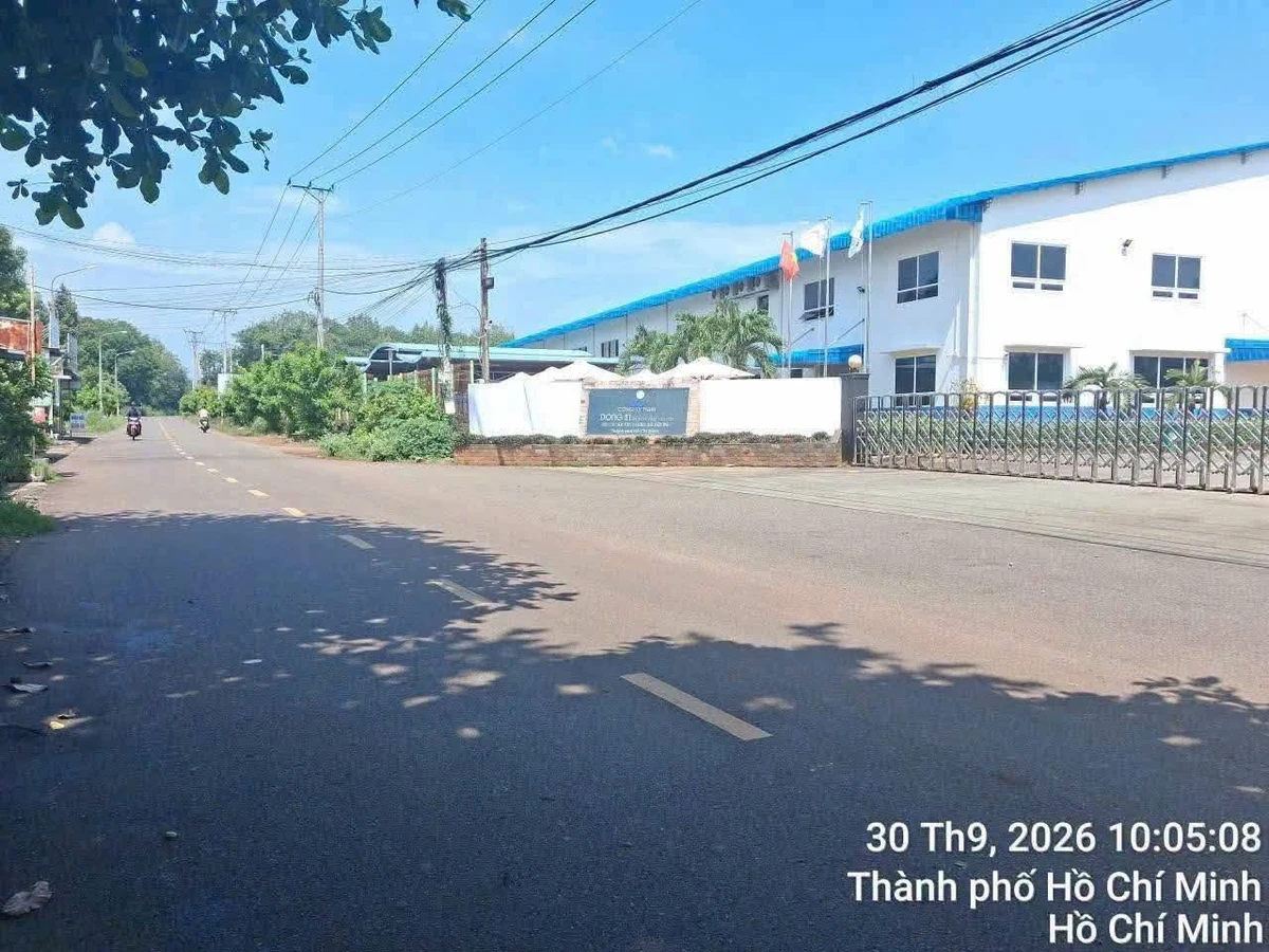 Bán đất mặt tiền 25m, 800m², Long Tân, Bà Rịa - Vũng Tàu - Ảnh thu nhỏ 2