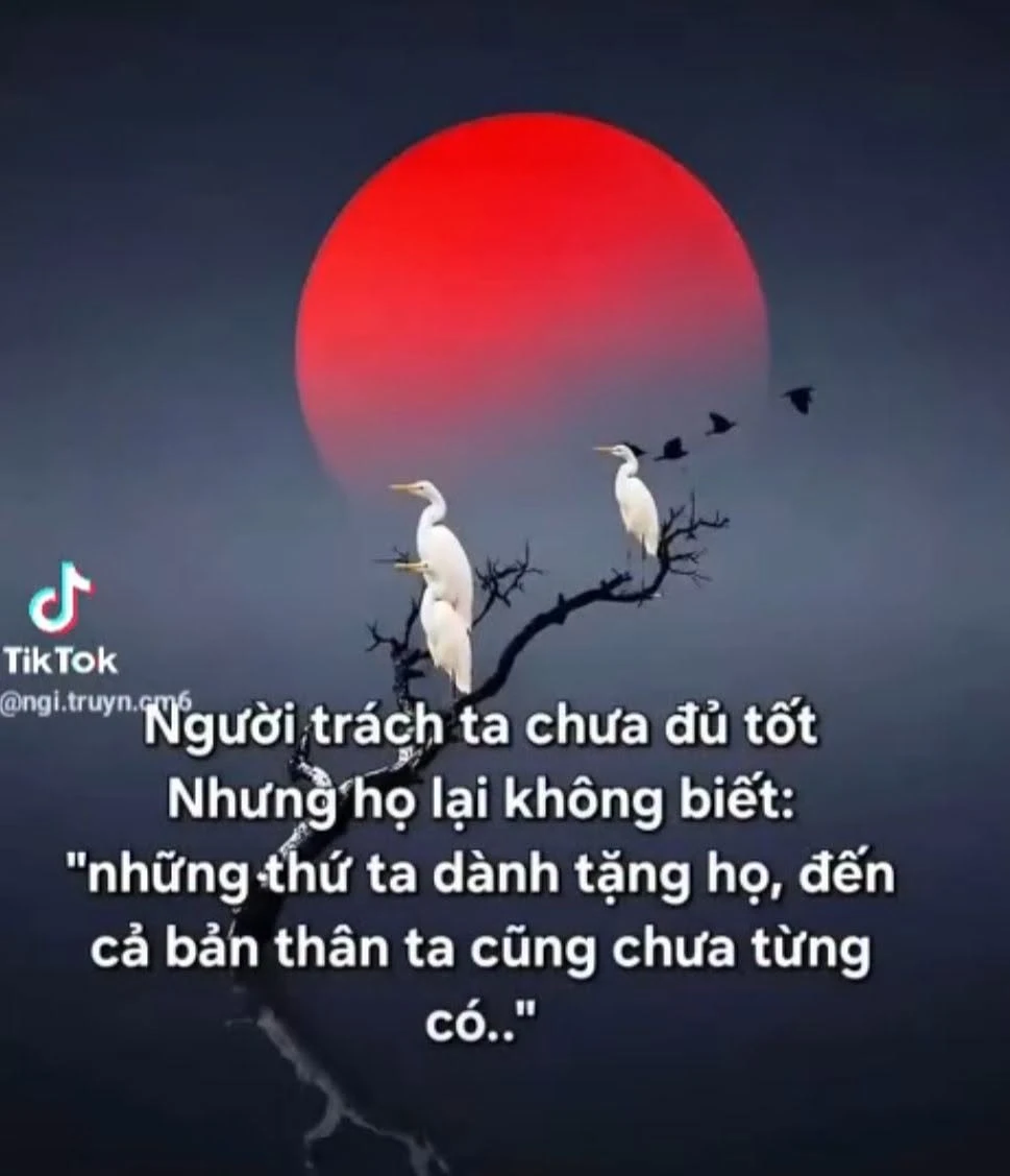 Bán đất 174m² gần chợ Thổ Hoàng 750 triệu Bình Chánh - Ảnh 1