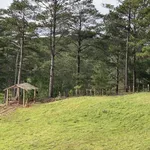 Bán đất 2.8 ha Mai Anh Đào view rừng Đa Nhim Lạc Dương - Ảnh thu nhỏ 2
