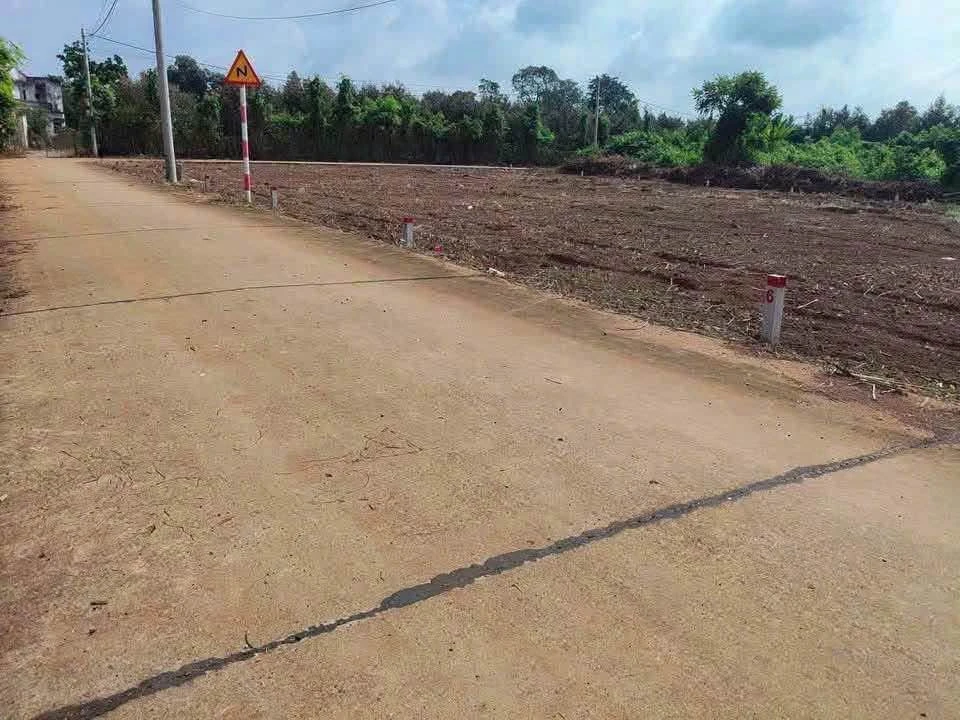 Bán đất Láng Lớn, Nhà Bè 510 triệu, gần KCN Châu Đức - Ảnh thu nhỏ 3