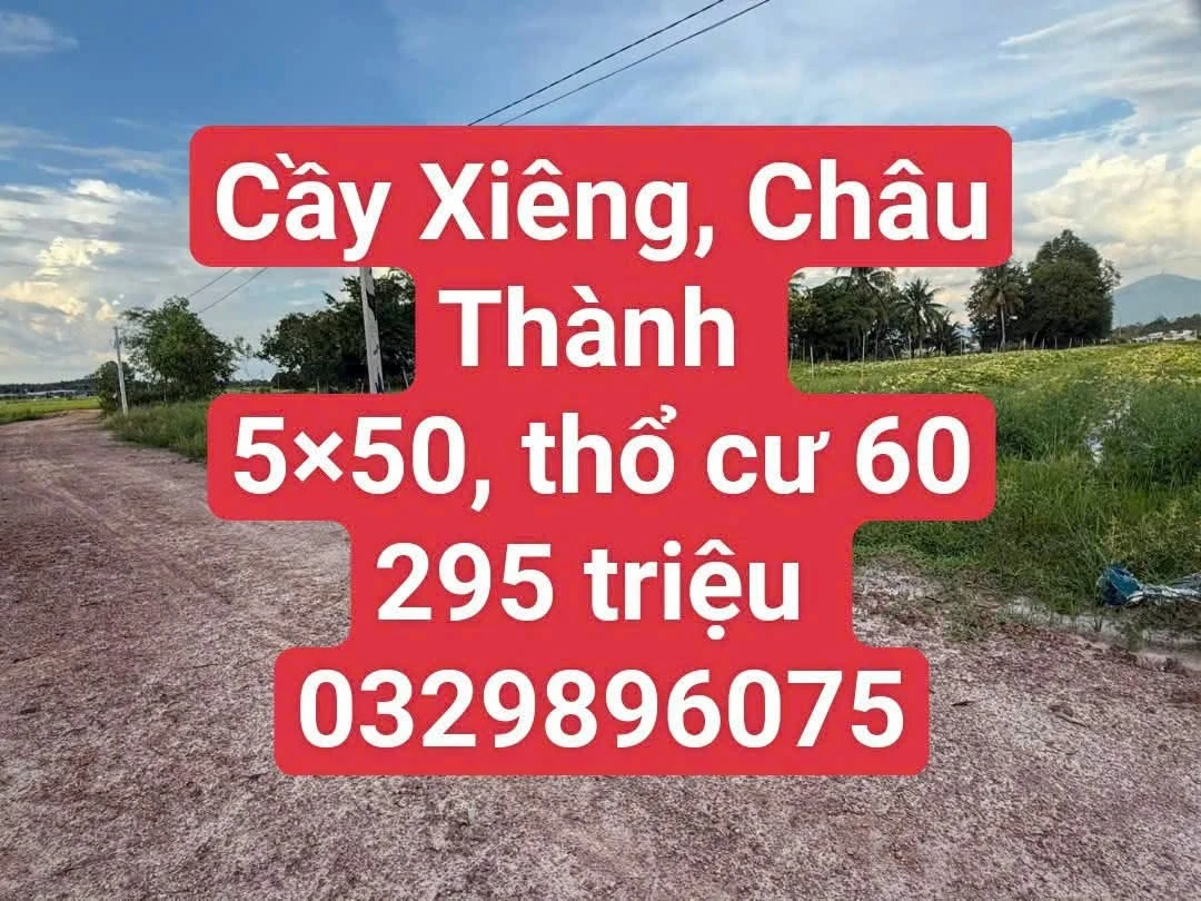 Bán đất nền 250m² Tây Ninh 295 triệu - Ảnh 1