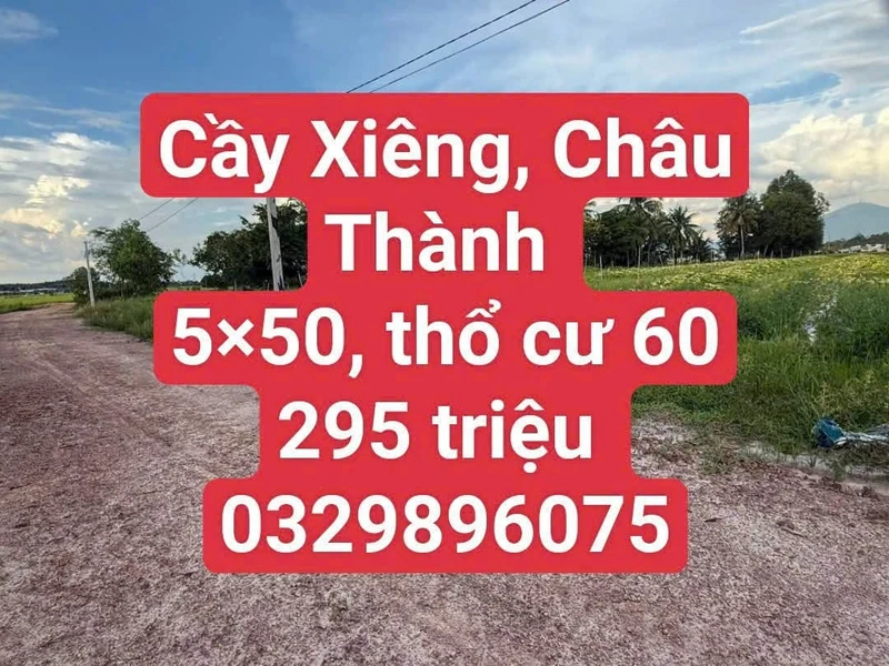 Bán đất nền 250m² Tây Ninh 295 triệu