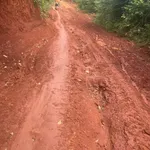 Sang nhượng 2,3 ha đất vườn Quảng Phú, Lâm Đồng 3,2 tỷ - Ảnh thu nhỏ 5
