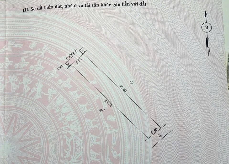 Đất bán 197m2 Vân Thê Trung, Thuỷ Thanh, Huế - 1,3 tỷ - Ảnh thu nhỏ 2