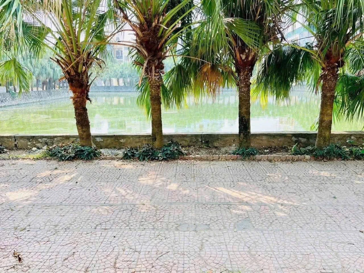 Bán lô đất 42m² view hồ Thanh Niên 1 tỷ - Ảnh thu nhỏ 3
