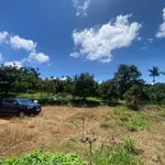 Bán đất 4500m² gần cầu Bà Dần, sân bay Bình Minh, giá 4.5 tỷ - Ảnh thu nhỏ 1