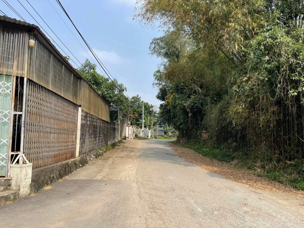 Bán đất 146m² (50m² thổ cư) Liên Sơn 9xx triệu - Ảnh thu nhỏ 3