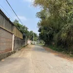 Bán đất 146m² (50m² thổ cư) Liên Sơn 9xx triệu - Ảnh thu nhỏ 3