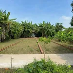 Bán đất 112m2 Phước Lâm Nhà Bè 750 triệu - Ảnh thu nhỏ 2