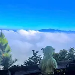 Bán lô đất 200m2 (75m2 thổ cư) Tân Nghĩa, Di Linh, Lâm Đồng giá 735 triệu - Ảnh thu nhỏ 2