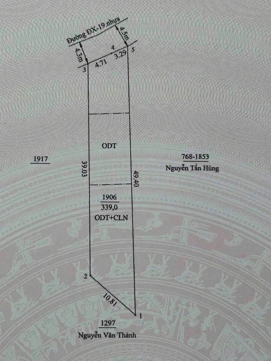 Bán đất Phú Mỹ mặt tiền DX19 339m2 - Ảnh thu nhỏ 3