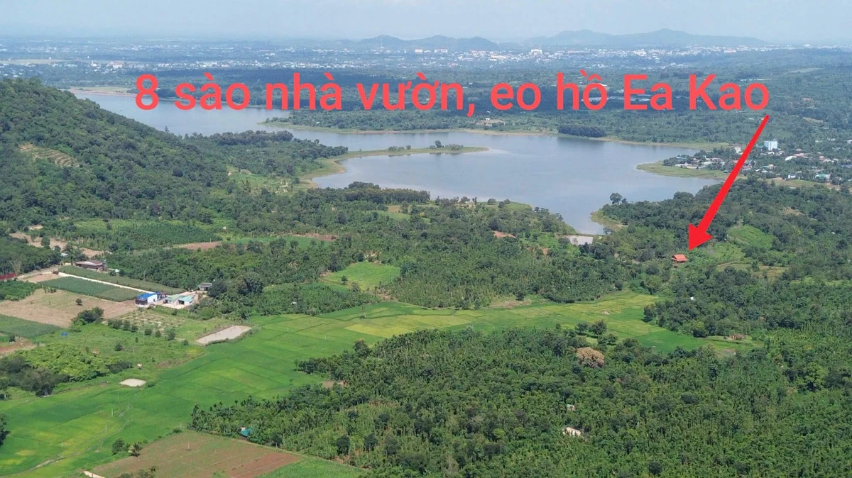 Bán nhà vườn 8 sào ôm hồ Ea Kao, Buôn Ma Thuột 5 tỷ - Ảnh thu nhỏ 2