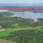 Bán nhà vườn 8 sào ôm hồ Ea Kao, Buôn Ma Thuột 5 tỷ - Ảnh thu nhỏ 2