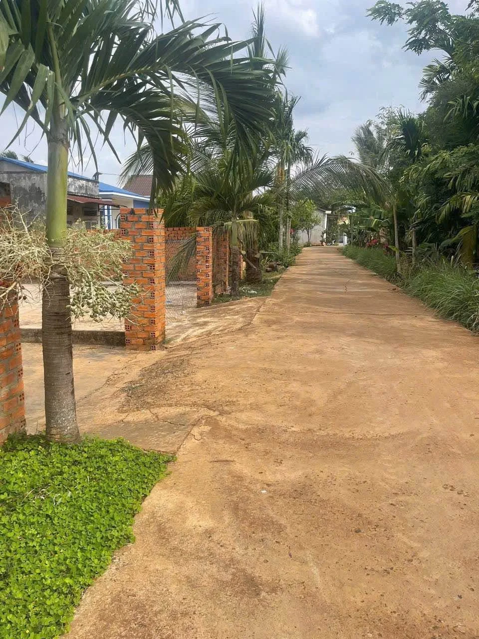 Bán lô đất thổ cư 234m² ở Hòa Xuân, 599 triệu - Ảnh 1