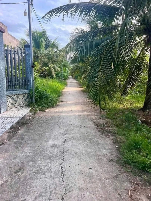 Bán 1046m² đất Châu Hưng, Bình Đại, Bến Tre 680 triệu
