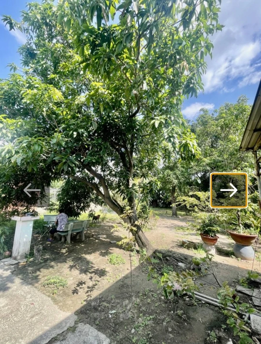 Bán đất thổ cư sân vườn nghỉ dưỡng 11x26m đường Liên Khu 1-6, Bình Trị Đông, Bình Tân - Ảnh thu nhỏ 5