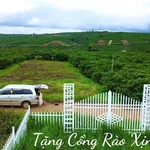 Bán đất thổ cư 91m2 giá 709 triệu gần QL28, Di Linh, Lâm Đồng - Ảnh thu nhỏ 2