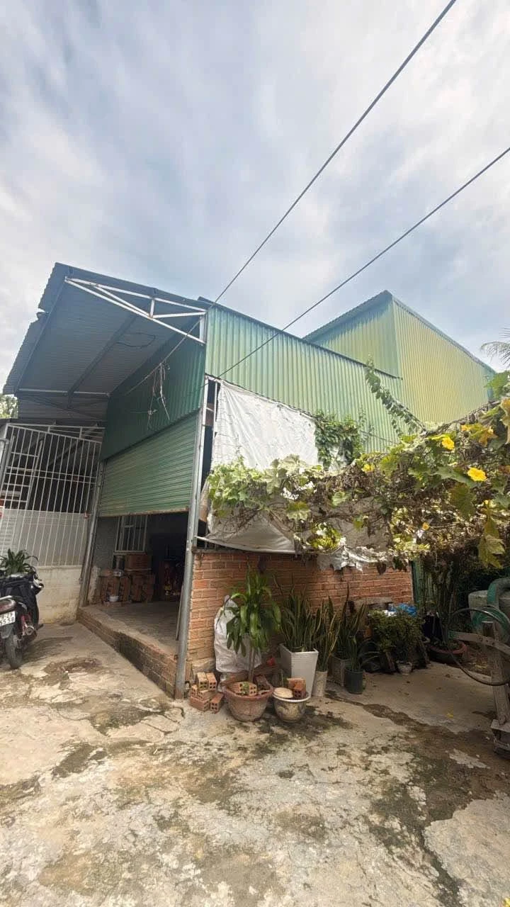 Bán lô đất 70,3m² Nha Trang, sổ riêng, giá 1 tỷ 250 triệu - Ảnh 1