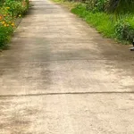 Bán đất nông thôn 4800m² tại xã Tân Xuân, Ba Tri, Bến Tre - Ảnh thu nhỏ 1
