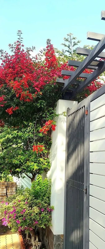Bán nhà hẻm 50m2 2PN Vũng Tàu 850 triệu