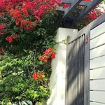 Bán nhà hẻm 50m2 2PN Vũng Tàu 850 triệu - Ảnh thu nhỏ 1
