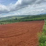 Bán đất 1000m² mặt đường bê tông 6m, lên full thổ cư tại xã Tân Hội, Lâm Đồng - Ảnh thu nhỏ 1