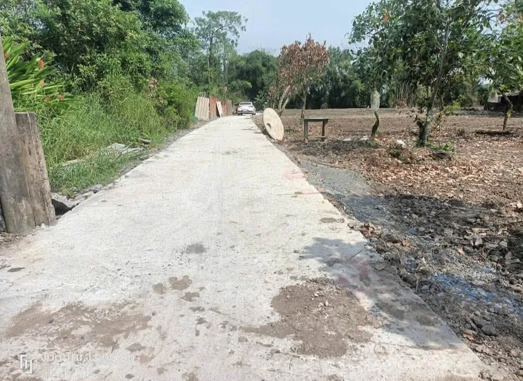 Bán đất thổ cư sổ riêng 5x28m Tân Trụ 419 triệu - Ảnh thu nhỏ 3