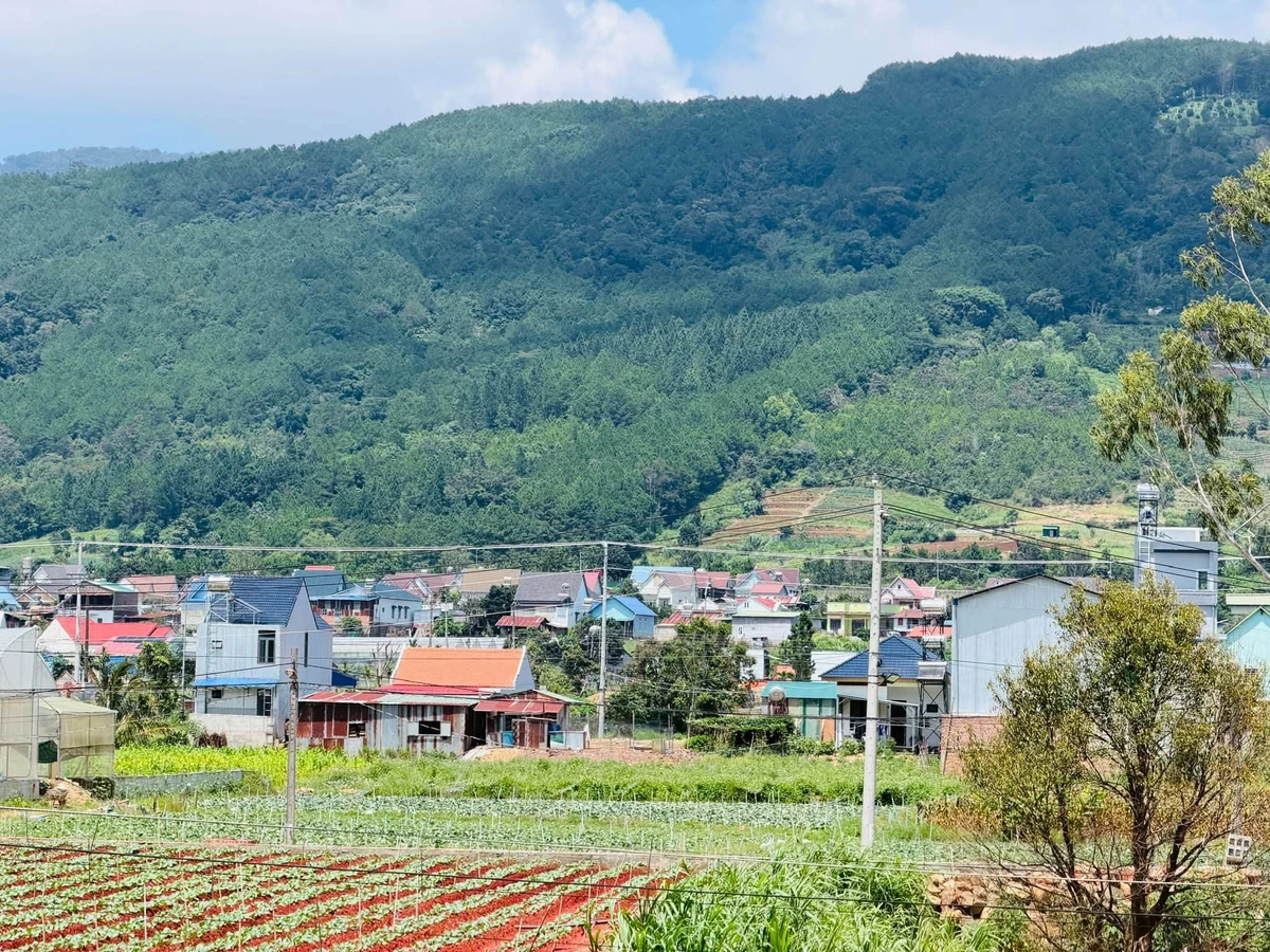 Bán đất Định An Hiệp An cửa ngõ Đà Lạt view đồi núi - Ảnh thu nhỏ 4