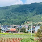 Bán đất Định An Hiệp An cửa ngõ Đà Lạt view đồi núi - Ảnh thu nhỏ 4