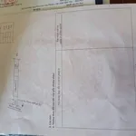 Bán vườn trái cây Tân Quan Đồng Nai 100m thổ cư dưới 200 triệu - Ảnh thu nhỏ 3