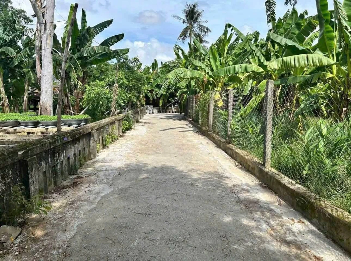 Bán đất Nguyễn Đình Bảy Huế 79,4m2 giá 1,5 tỷ - Ảnh thu nhỏ 3