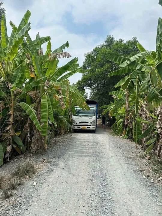 Bán đất mặt tiền Long An 19.671 m², 200 triệu/công - Ảnh thu nhỏ 4