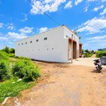 Bán đất nền 10x26m (260m²) 1,5 tỷ Nhánh D5 - Ảnh thu nhỏ 3