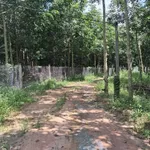 Bán đất 4 sào gần lò mỳ Suối Tre Hòa Hiệp 1,2 tỷ - Ảnh thu nhỏ 1