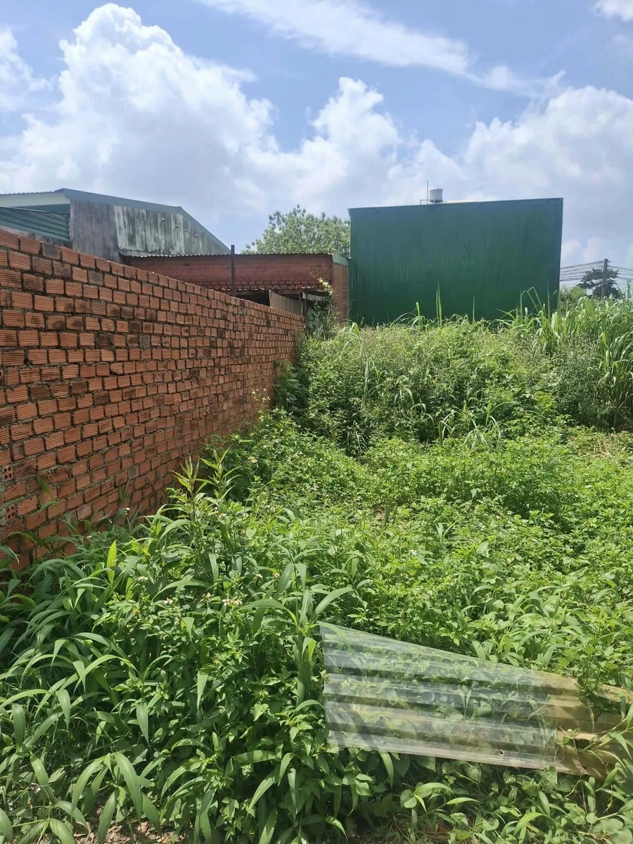 Bán đất nông nghiệp 6x17m hẻm 35 Tạ Quang Bửu, giá 250 triệu - Ảnh thu nhỏ 2