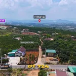 Bán đất mặt tiền Võ Thị Sáu Lâm Đồng 138m² 335 triệu - Ảnh thu nhỏ 5