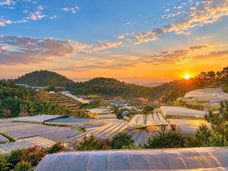 Bán đất Đà Lạt 1500m² Xuân Thành 1.7 tỷ