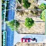 Bán lô góc 85,5m² thổ cư tại xã Diên Phước, Khánh Hòa - Ảnh thu nhỏ 2