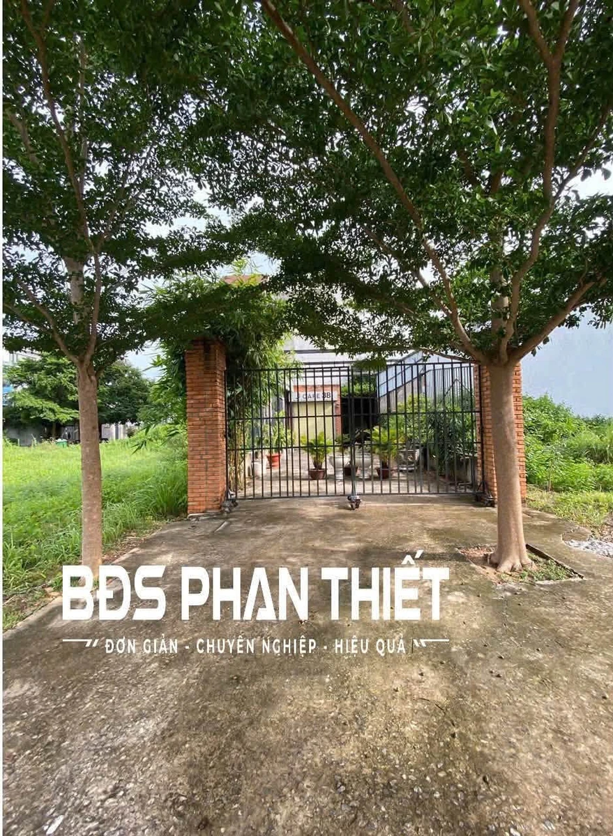 Bán đất thổ cư Hàm Thắng Lâm Đồng 107.5m2 giá 3.3 tỷ - Ảnh thu nhỏ 3