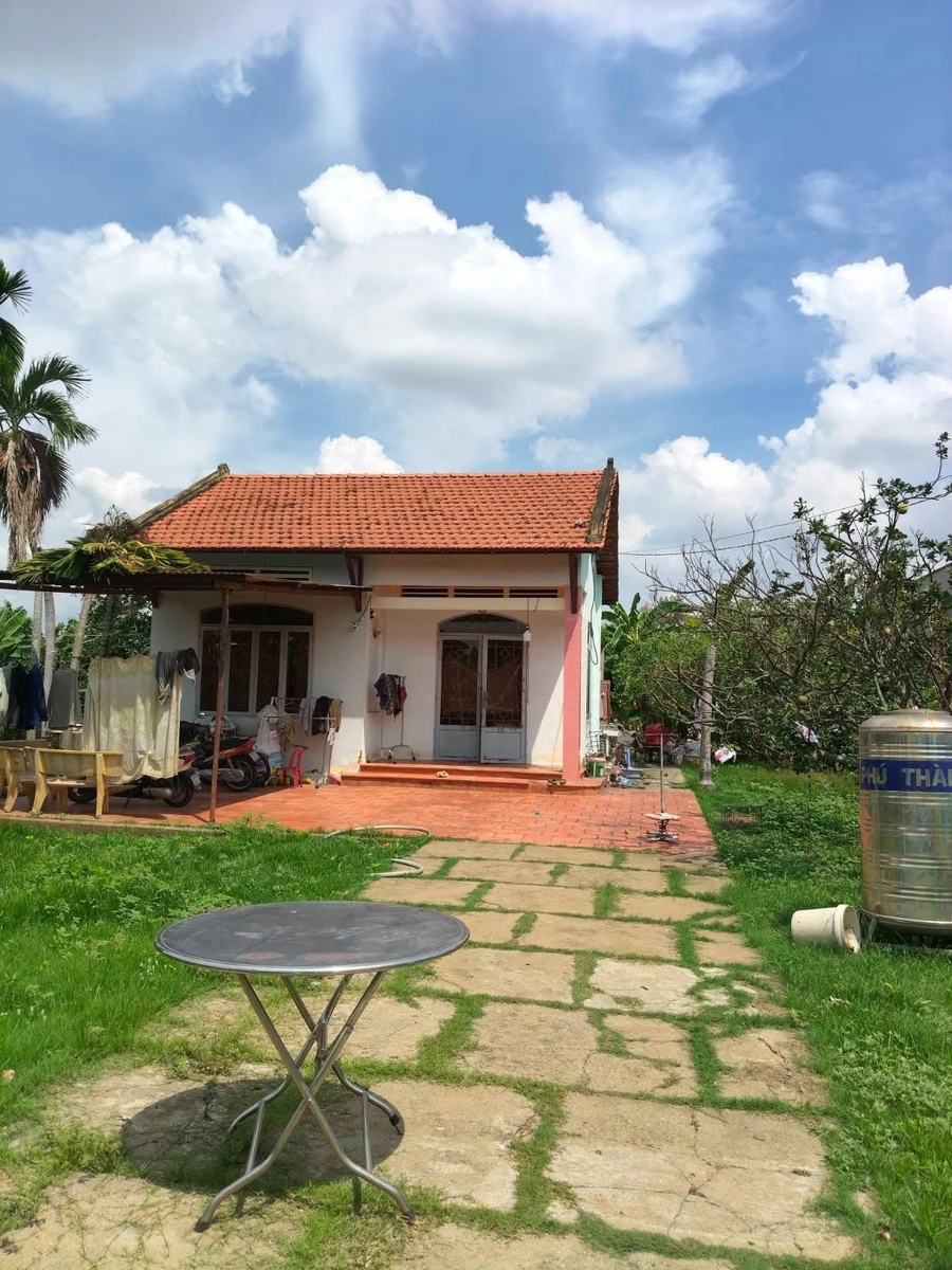 Bán vườn bưởi 1 mẫu view sông Tân Triều 29 tỷ - Ảnh thu nhỏ 5