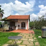 Bán vườn bưởi 1 mẫu view sông Tân Triều 29 tỷ - Ảnh thu nhỏ 5