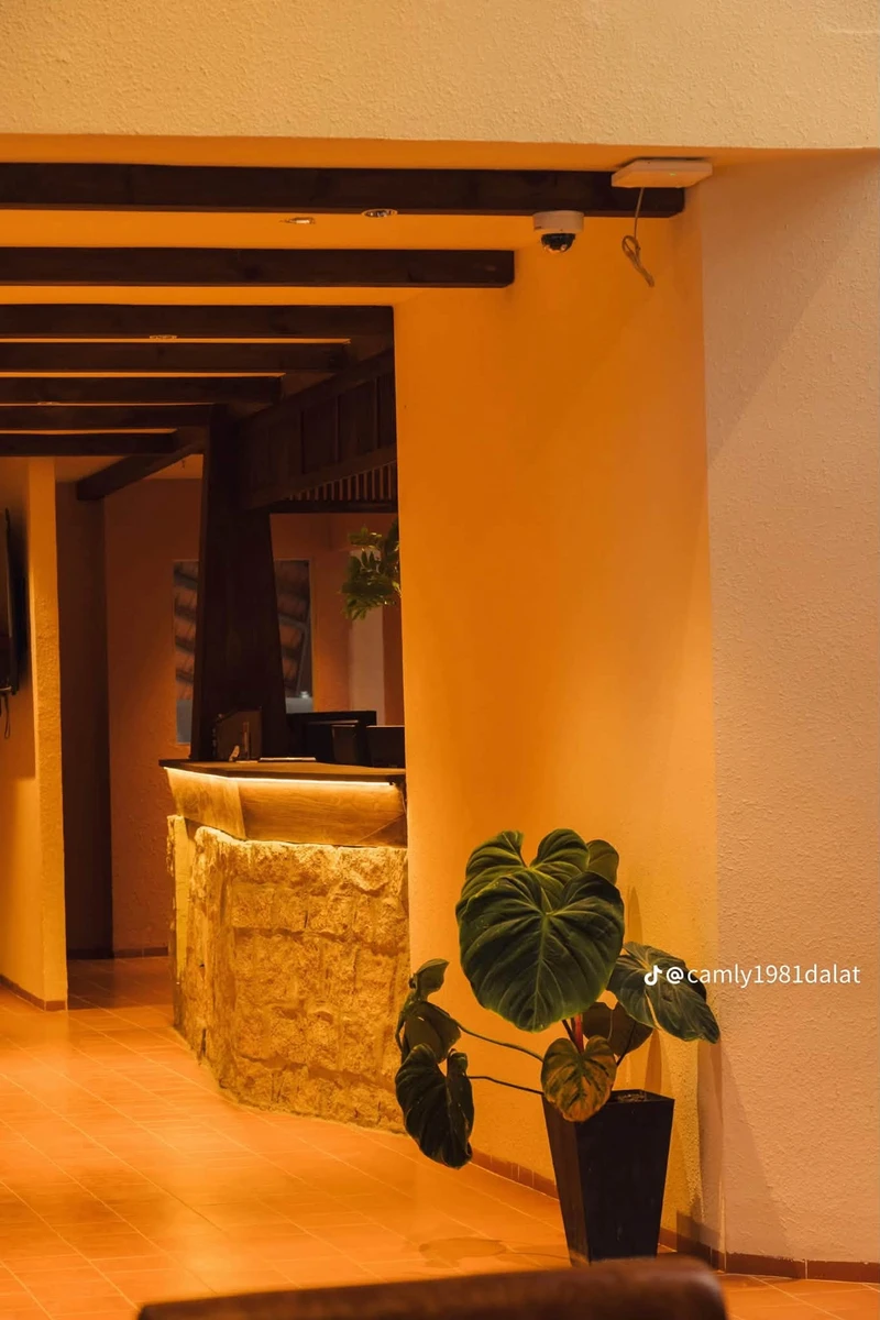 Bán khách sạn 35 phòng 600m2 Hoàng Văn Thụ 28 tỷ - Ảnh thu nhỏ 5