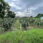 Bán 1400m2 đất 2 mặt tiền đường 30/4 tại Phước Tân Hưng, Châu Thành, Long An - Ảnh thu nhỏ 3