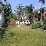 Bán đất 190m² mặt tiền TL824 Bến Lức, Long An, giá 6.5 tỷ - Ảnh thu nhỏ 3