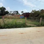 Bán đất xây nhà 75m² Tân Hòa 1 tỷ - Ảnh thu nhỏ 2